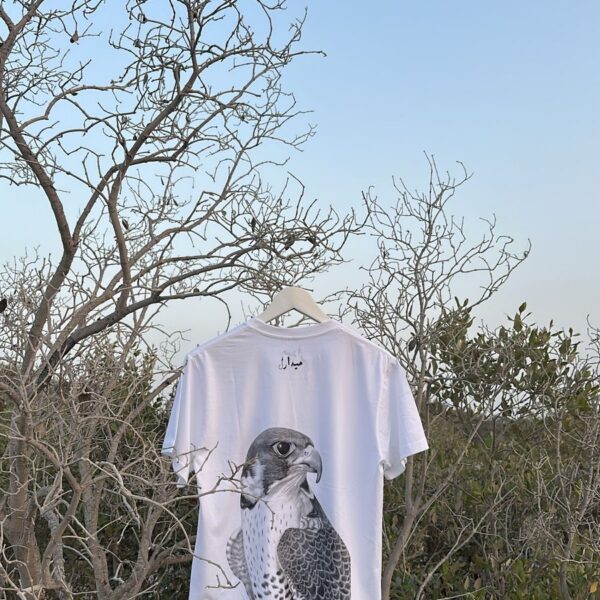 Falcon shirt